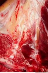 Photo Textures of Beef Meat